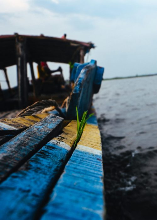 neha-maheen-mahfin-lDpZbWF94AU-unsplash